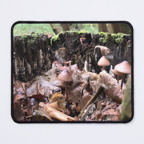 Item preview, “Cedar Hollow”-- a Faerie Town designed and sold by Terrifically Trish.