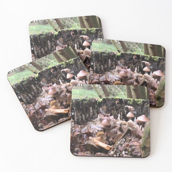 Item preview, “Cedar Hollow”-- a Faerie Town designed and sold by Terrifically Trish.