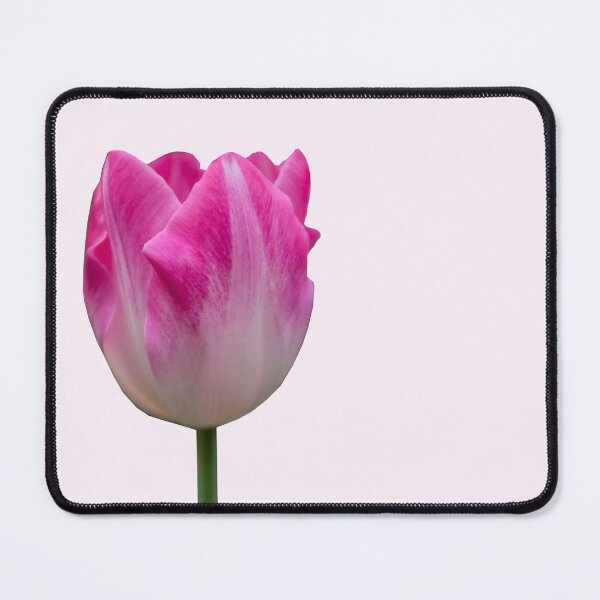 Item preview, Pink tulip designed and sold by PariSeine.