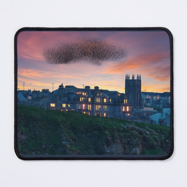 Item preview, Newquay Starling Murmuration designed and sold by Alisonchambers2.