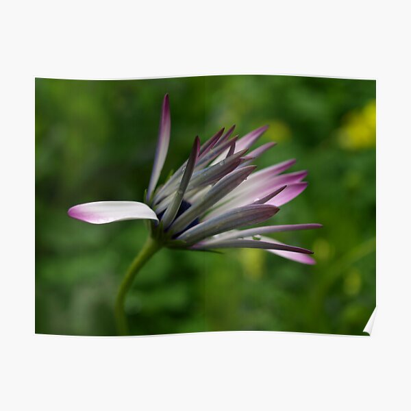 Its All Unfolding Poster