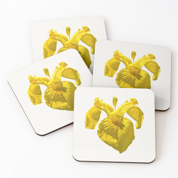 Item preview, Yellow iris (Iris pseudacorus)  designed and sold by PariSeine.
