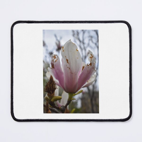 Item preview, Damaged Petals designed and sold by Bennett Swanson.
