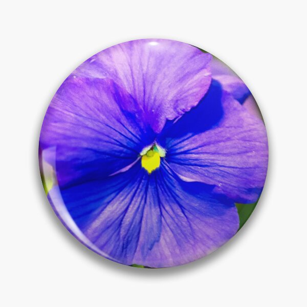 Item preview, Pansy II designed and sold by NunoPires.