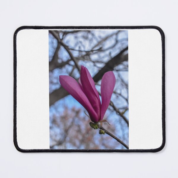 Item preview, Soft Delicate Flower With Branches designed and sold by Bennett Swanson.