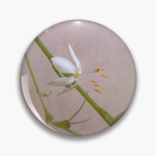 Item preview, Dainty designed and sold by Kasia Design.