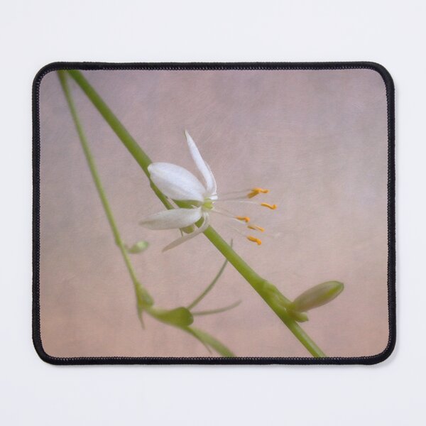 Item preview, Dainty designed and sold by Kasia Design.