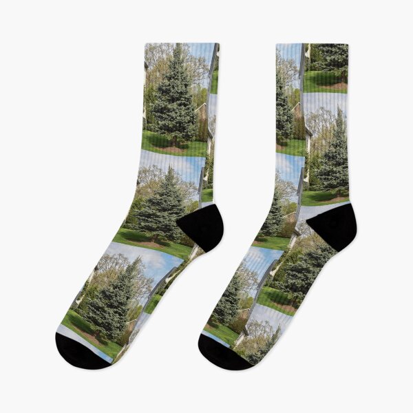 Item preview, Prickly Pine Tree designed and sold by Bennett Swanson.