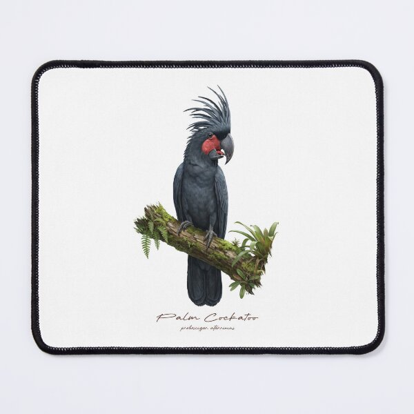 Item preview, Palm Cockatoo on Mossy Branch designed and sold by Takeda-art.