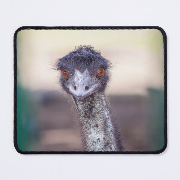 Item preview, Funny Ostrich Head designed and sold by BhadrarjunaArts.