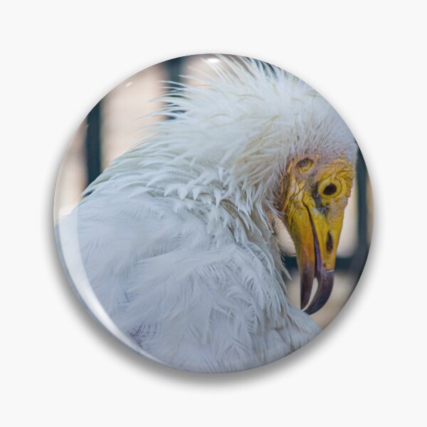 Item preview, Rare Egyptian Vulture (Neophron percnopterus) designed and sold by BhadrarjunaArts.