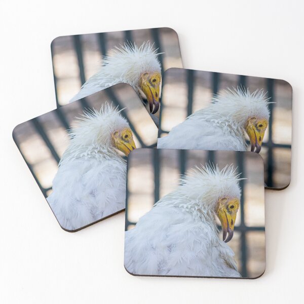 Item preview, Rare Egyptian Vulture (Neophron percnopterus) designed and sold by BhadrarjunaArts.