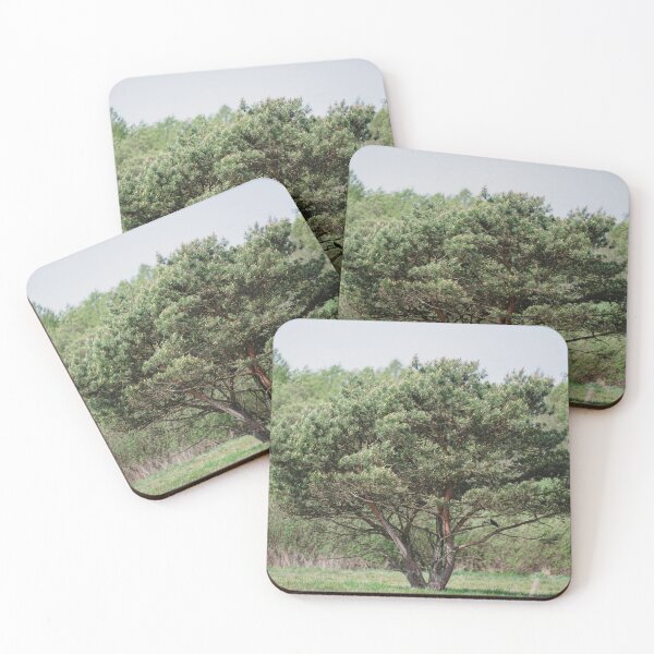 Item preview, The Solitary Pine Tree in the Meadow designed and sold by alicjamiekina.