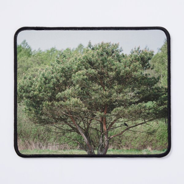 Item preview, The Solitary Pine Tree in the Meadow designed and sold by alicjamiekina.