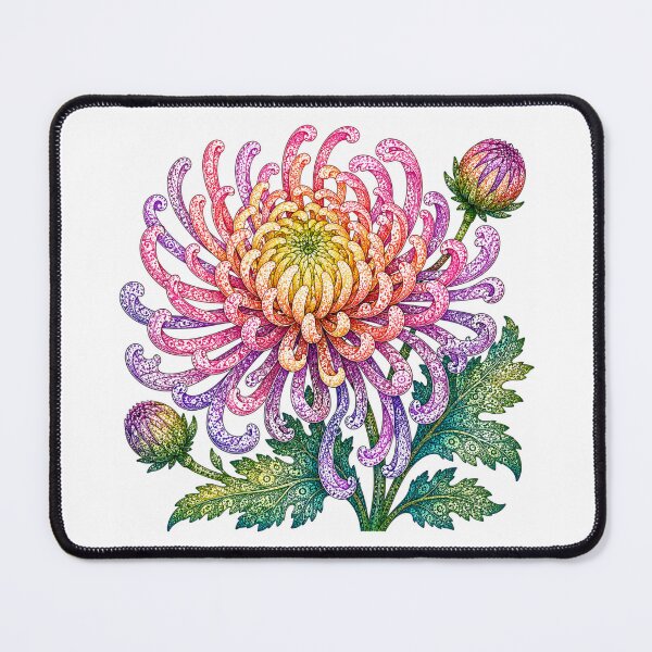 Item preview, Spider Chrysanthemum - November Birth Flower designed and sold by PaintedbyCarol.