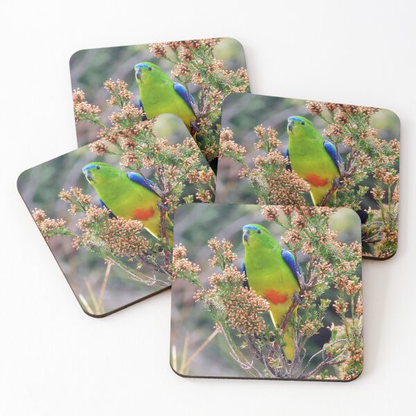 Item preview, OBP in Heath coasters designed and sold by Friends of OBP.