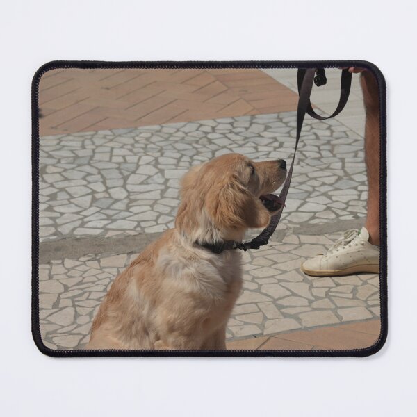 Item preview, Loyal Dog Gazing at Owner — Warm Golden Tones, Emotional Pet Portrait designed and sold by ulvisuals.