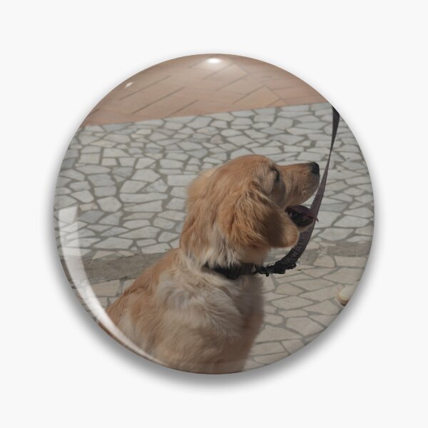 Item preview, Loyal Dog Gazing at Owner — Warm Golden Tones, Emotional Pet Portrait designed and sold by ulvisuals.
