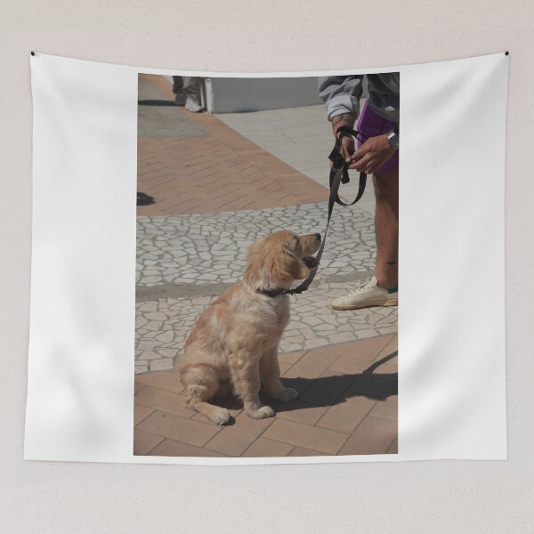 Item preview, Loyal Dog Gazing at Owner — Warm Golden Tones, Emotional Pet Portrait designed and sold by ulvisuals.
