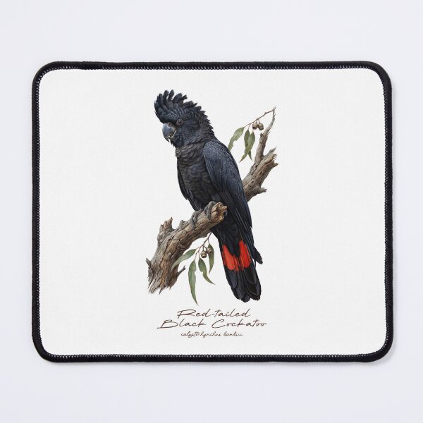 Item preview, Red-tailed Black Cockatoo on Branch designed and sold by Takeda-art.