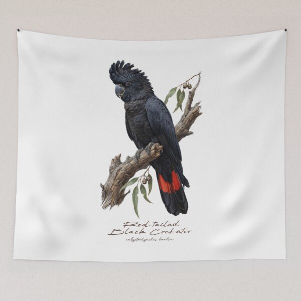 Item preview, Red-tailed Black Cockatoo on Branch designed and sold by Takeda-art.