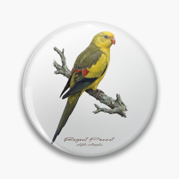 Item preview, Regent Parrot on Rustic Branch designed and sold by Takeda-art.
