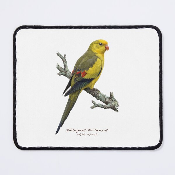 Item preview, Regent Parrot on Rustic Branch designed and sold by Takeda-art.