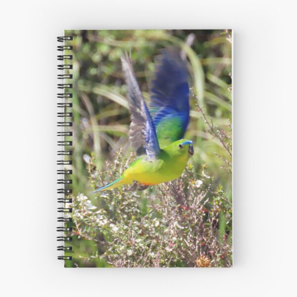 Item preview, OBP Flying notebook designed and sold by Friends of OBP.
