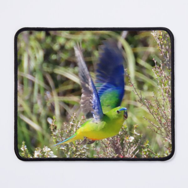 Item preview, OBP Flying mouse pad designed and sold by Friends of OBP.