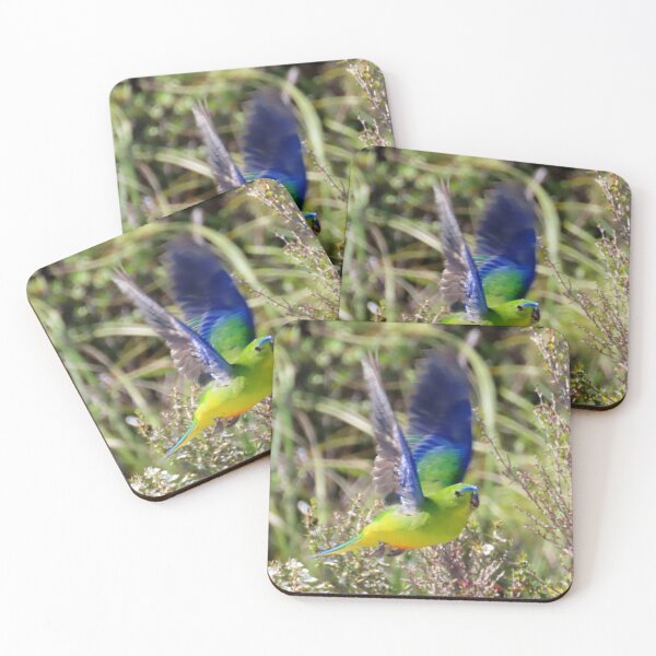 Item preview, OBP Flying coasters designed and sold by Friends of OBP.