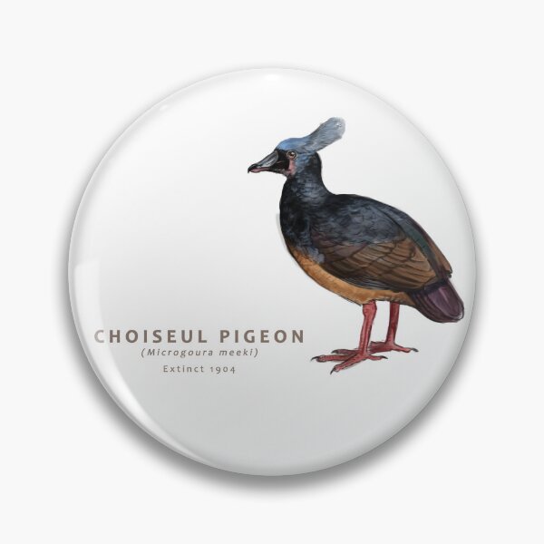 Item preview, Choiseul Pigeon designed and sold by Haliaeetus.