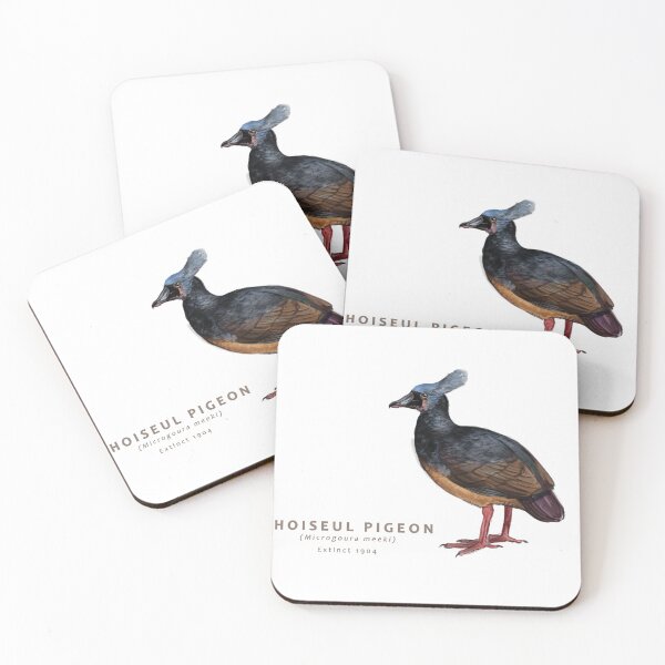 Item preview, Choiseul Pigeon designed and sold by Haliaeetus.