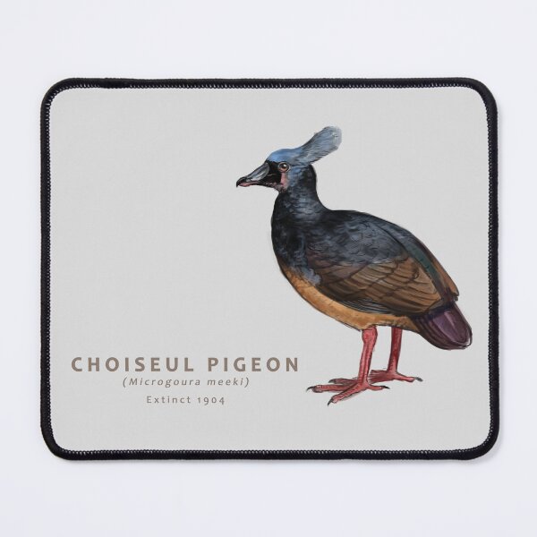 Item preview, Choiseul Pigeon designed and sold by Haliaeetus.