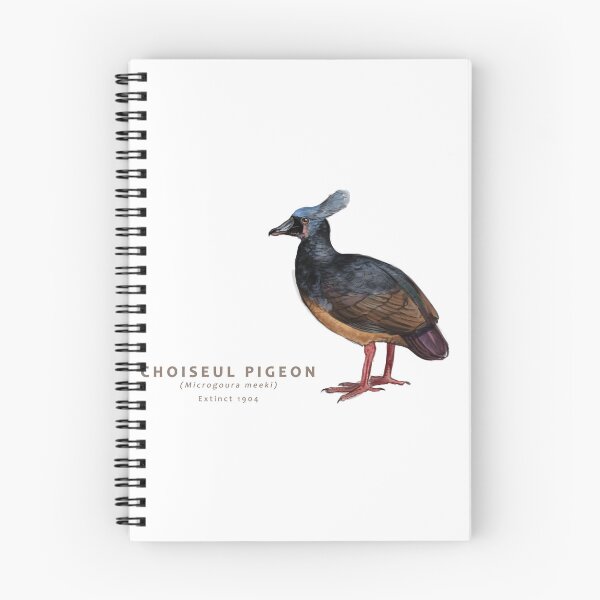 Item preview, Choiseul Pigeon designed and sold by Haliaeetus.