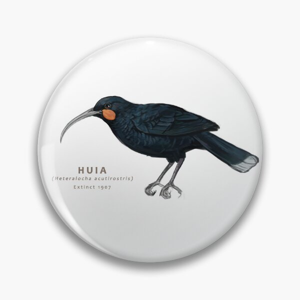 Item preview, Huia designed and sold by Haliaeetus.