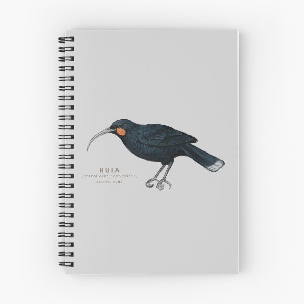 Item preview, Huia designed and sold by Haliaeetus.