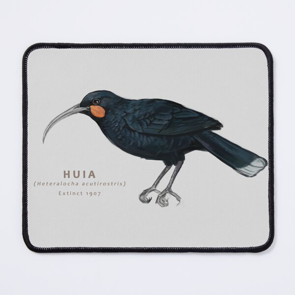 Item preview, Huia designed and sold by Haliaeetus.