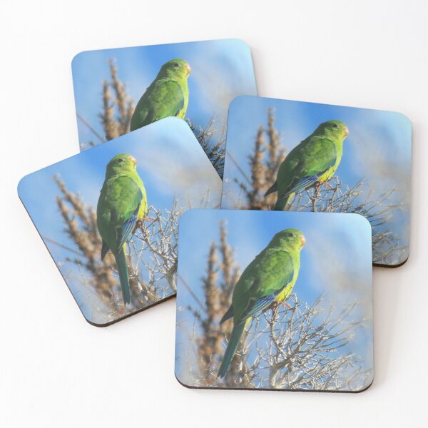Item preview, Juvenile OBP coasters designed and sold by Friends of OBP.