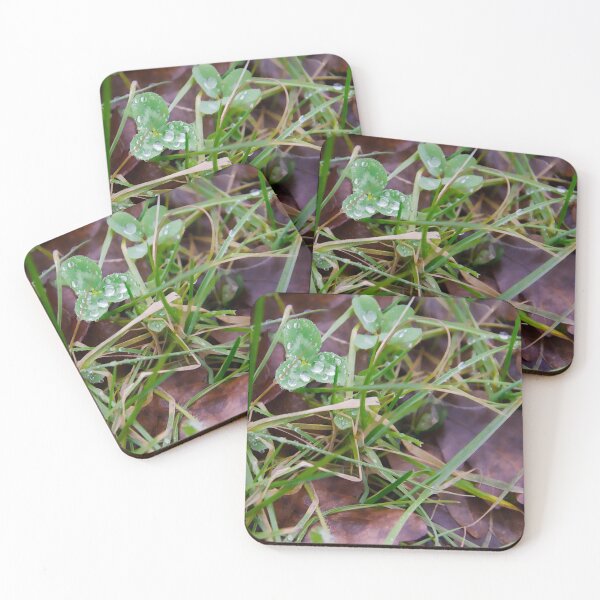 Item preview, Dewdrops on Fresh Green Clover Leaves designed and sold by ShotsbyDesiree.