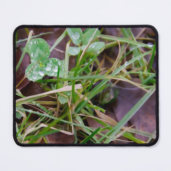 Item preview, Dewdrops on Fresh Green Clover Leaves designed and sold by ShotsbyDesiree.