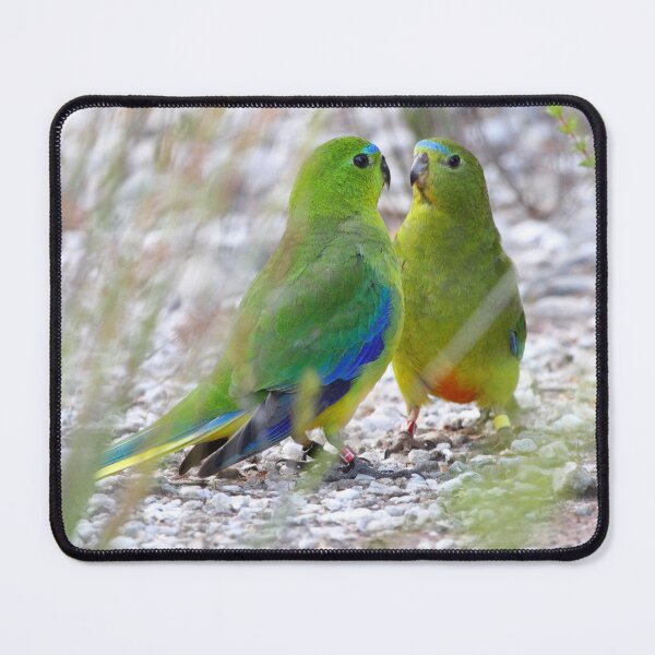 Item preview, OBPs Courting mouse pad designed and sold by Friends of OBP.