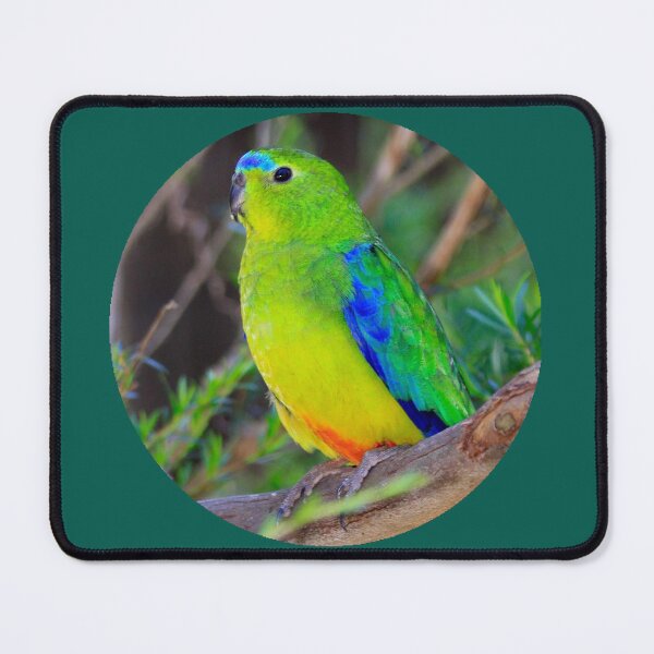 Item preview, OBP mouse pad designed and sold by Friends of OBP.