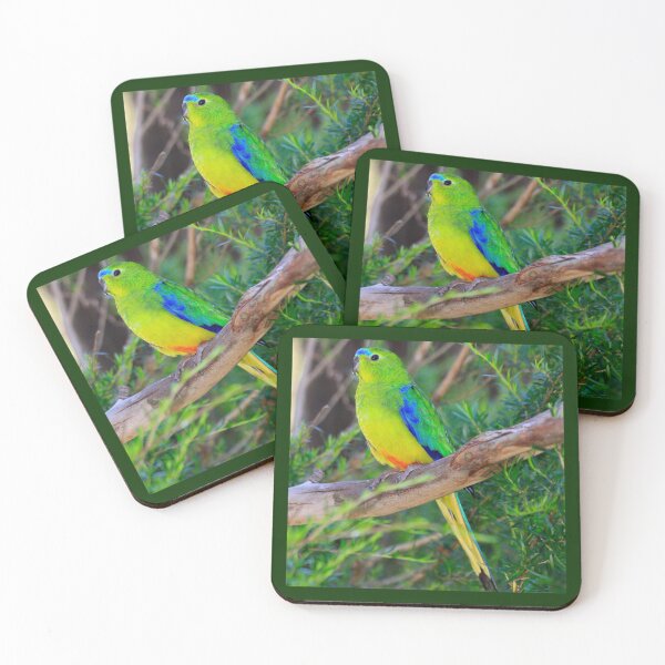 Item preview, OBP coasters designed and sold by Friends of OBP.