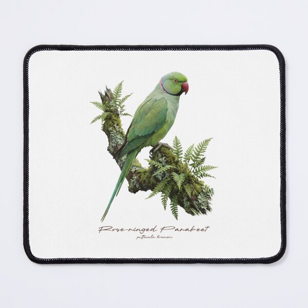 Item preview, Rose-ringed Parakeet on Mossy Branch designed and sold by Takeda-art.