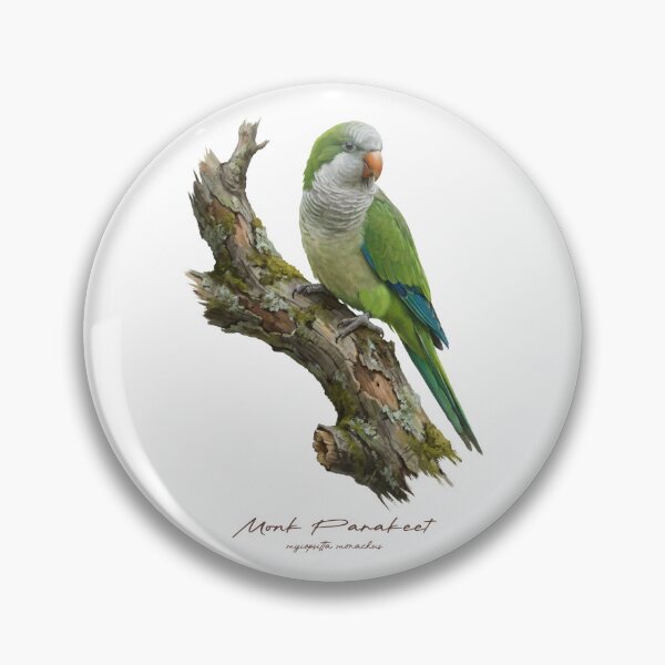 Item preview, Monk Parakeet on Mossy Branch designed and sold by Takeda-art.