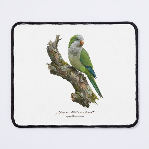 Item preview, Monk Parakeet on Mossy Branch designed and sold by Takeda-art.
