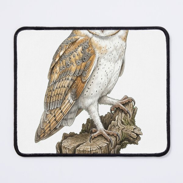 Item preview, Barn Owl designed and sold by Untamed Gallery.