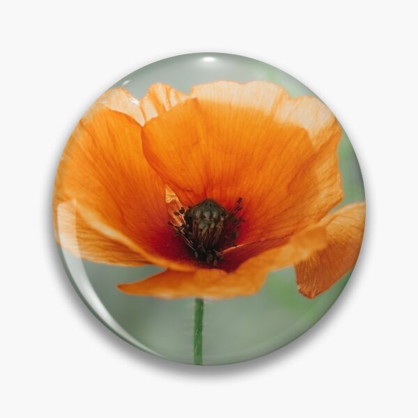 Item preview, Soft Orange Poppy Botanical Print designed and sold by Mutezone.