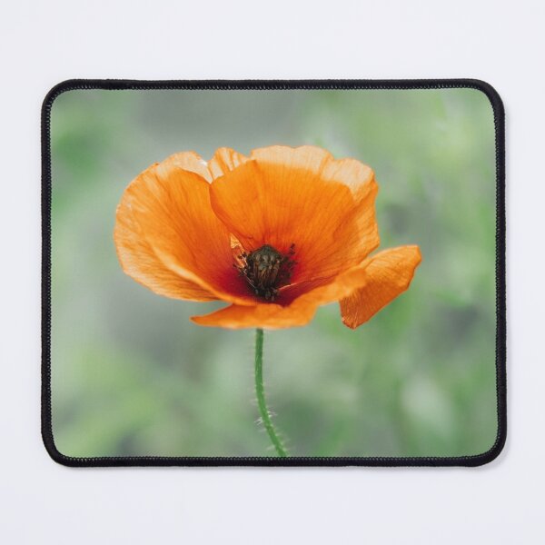 Item preview, Soft Orange Poppy Botanical Print designed and sold by Mutezone.