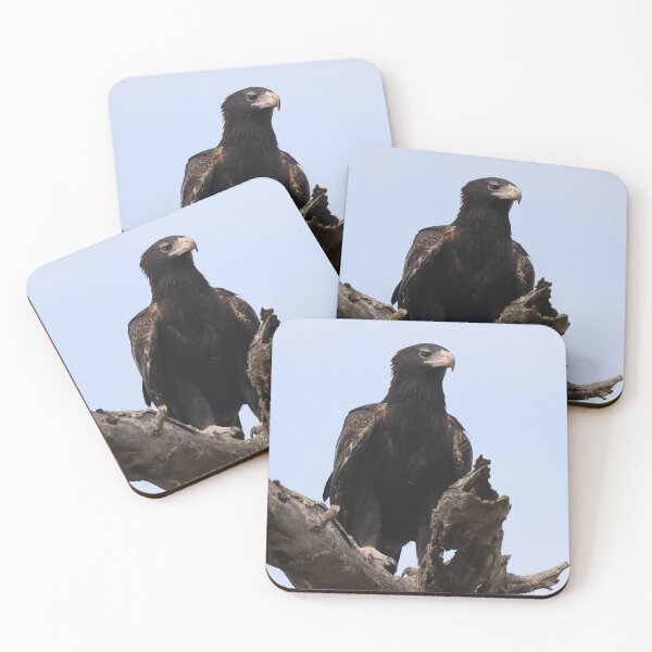 Item preview, Wedge tailed eagle designed and sold by scar.